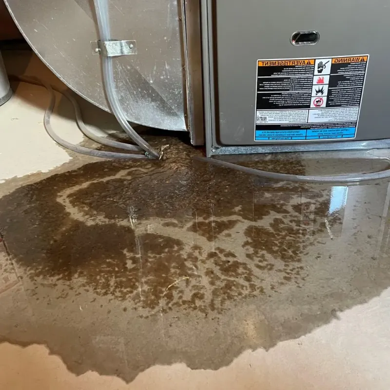 Pipe Burst and Leak Restoration in Niobrara County, WY