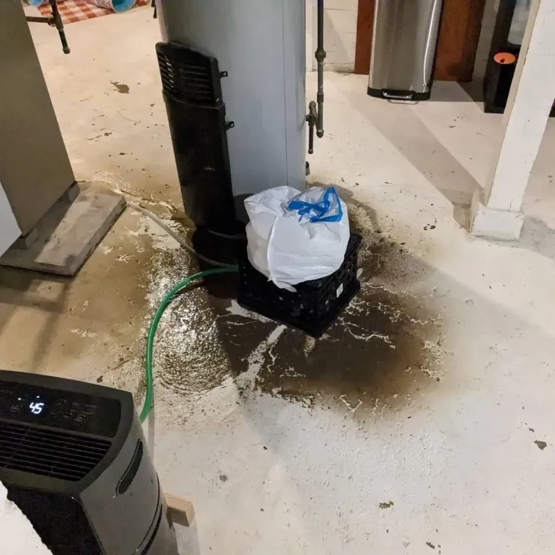 Sewage Backup Cleanup Service in Niobrara County, WY